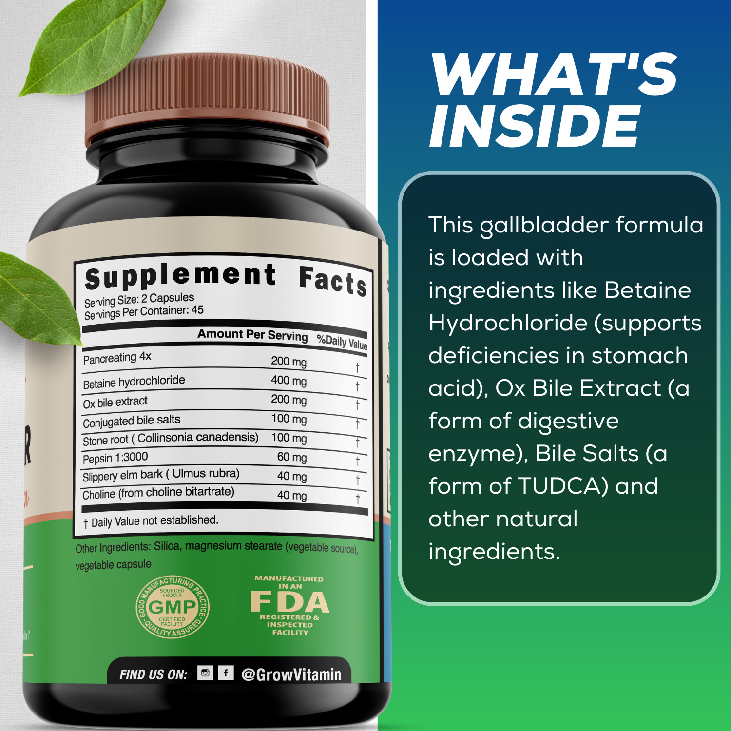 Gallbladder Formula Made w/Purified Bile Salts & Ox Bile Digestive Enzymes, 90CT