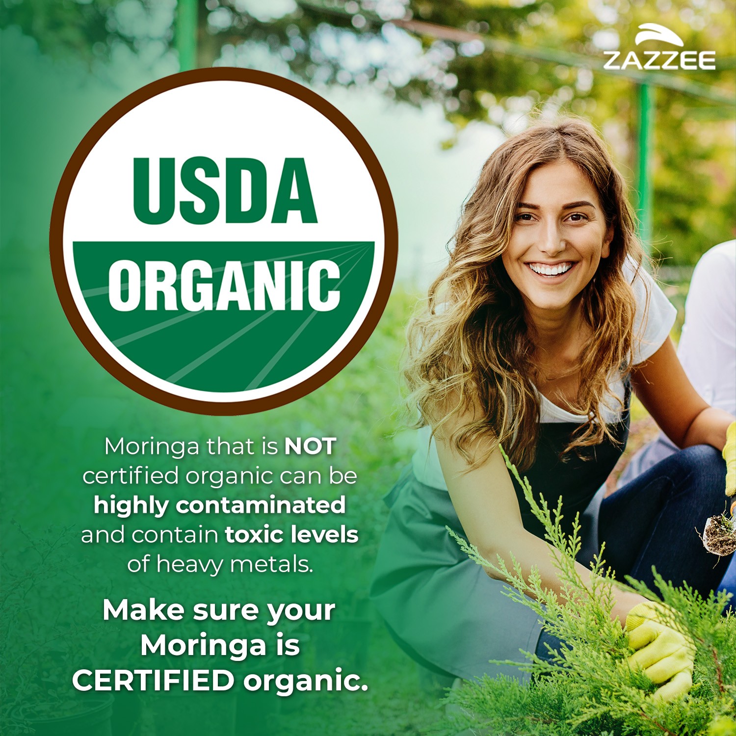 Zazzee Organic Moringa Extract 180 Capsules 7500 mg Strength 10:1 Antioxidant