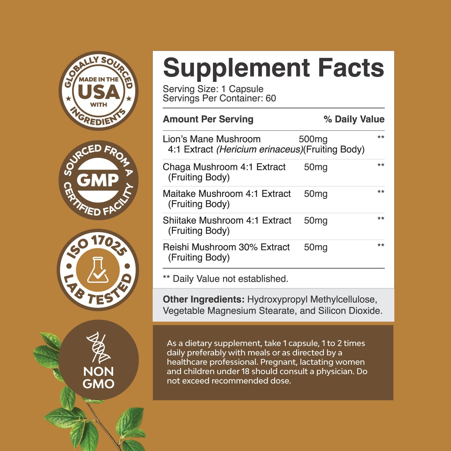 Advanced Lion’s Mane Mushroom Supplement – 5X Fruiting Body Mushroom Complex