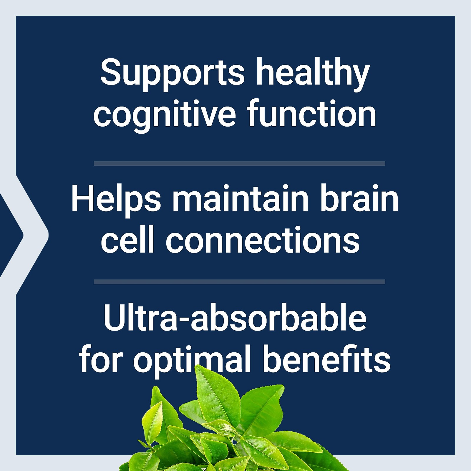 Magnesium L Threonate Supplement 90 Count Pack of 2 Life Extension Neuro-mag