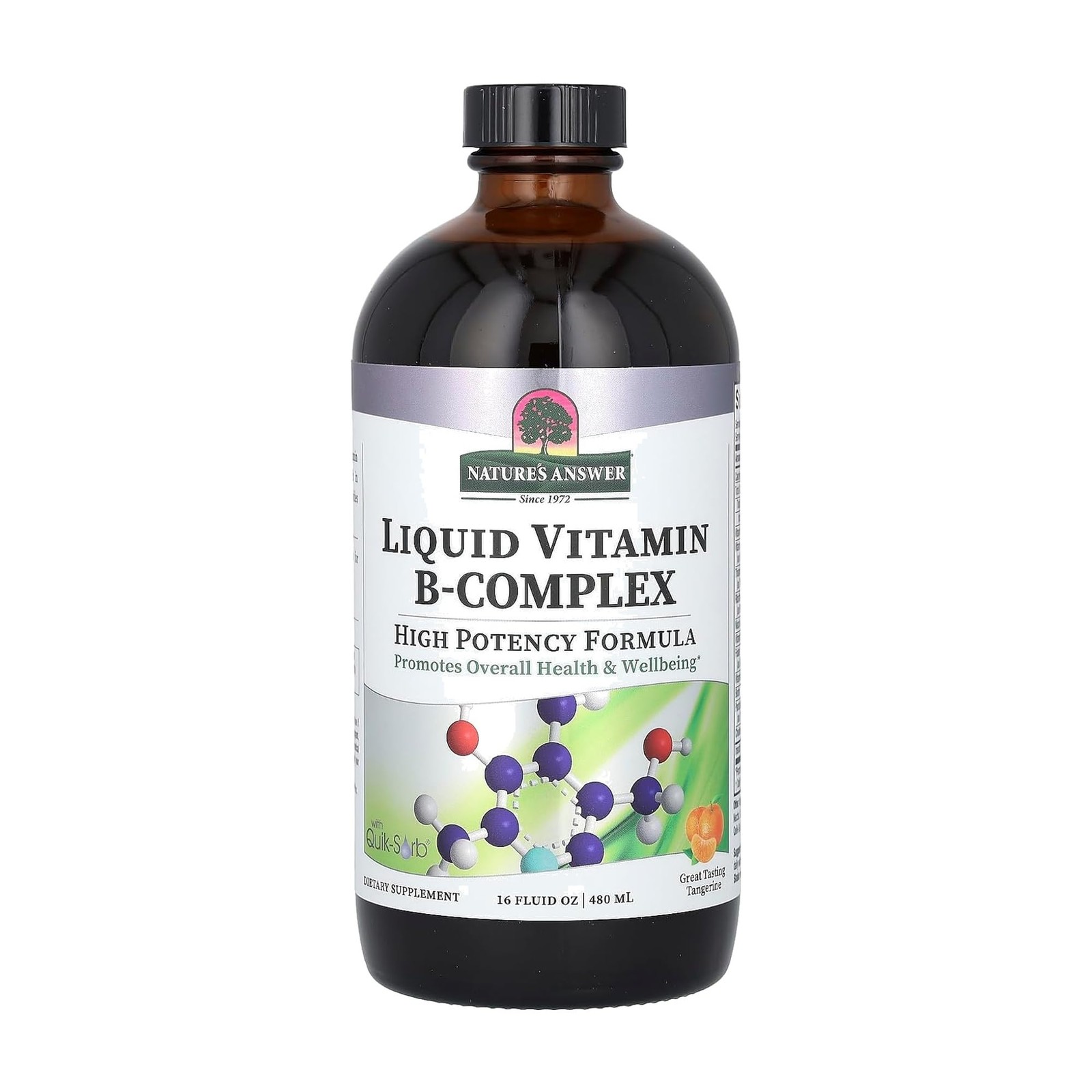 Nature’s Answer Liquid Vitamin B-Complex 16 Fl Oz (Pack of 1), No Color
