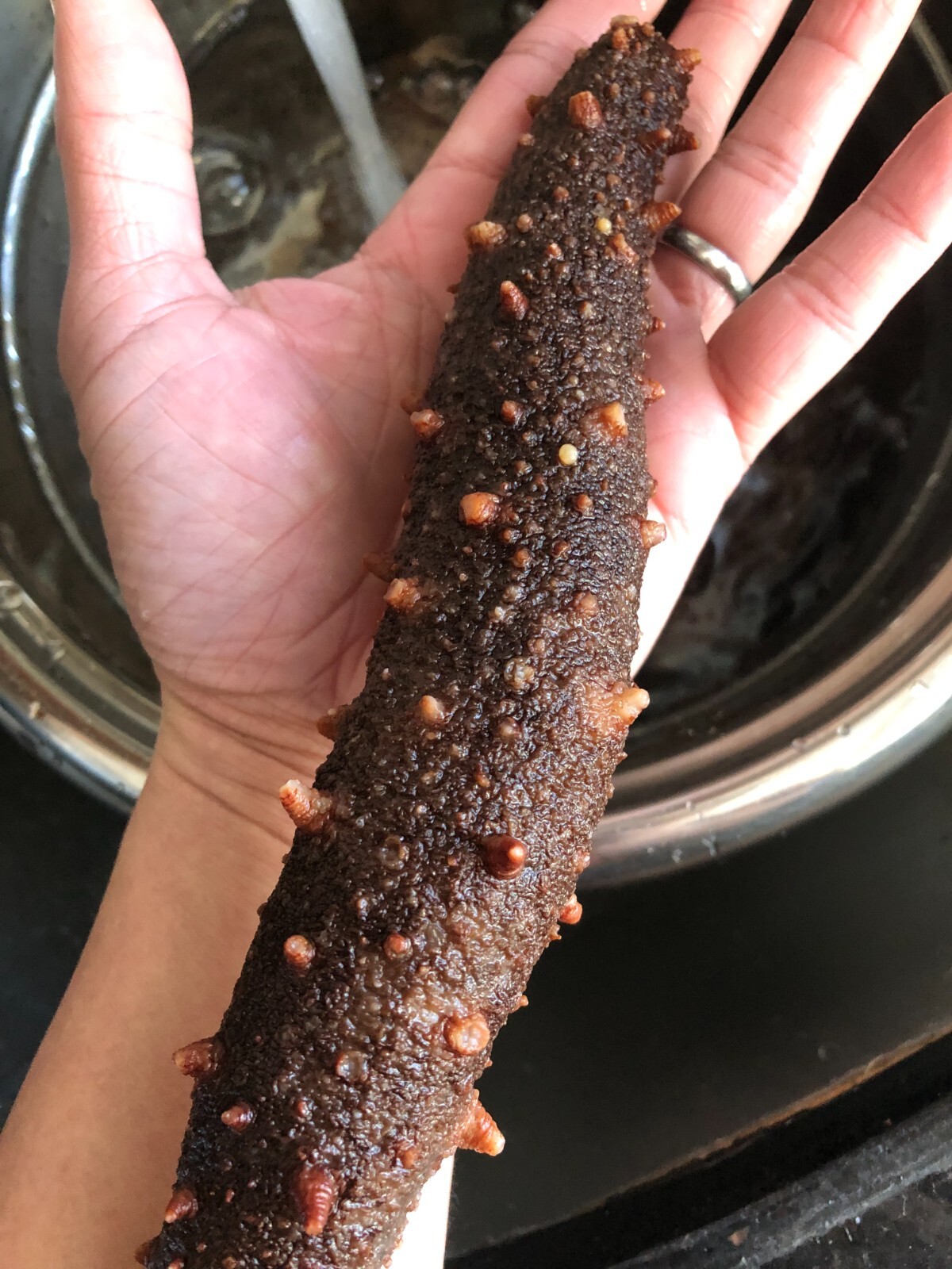 阿拉斯加红参(海参)Super 3A natural Sun Dried ALASKA Red Sea Cucumber(Size XXL)1LB/Bag