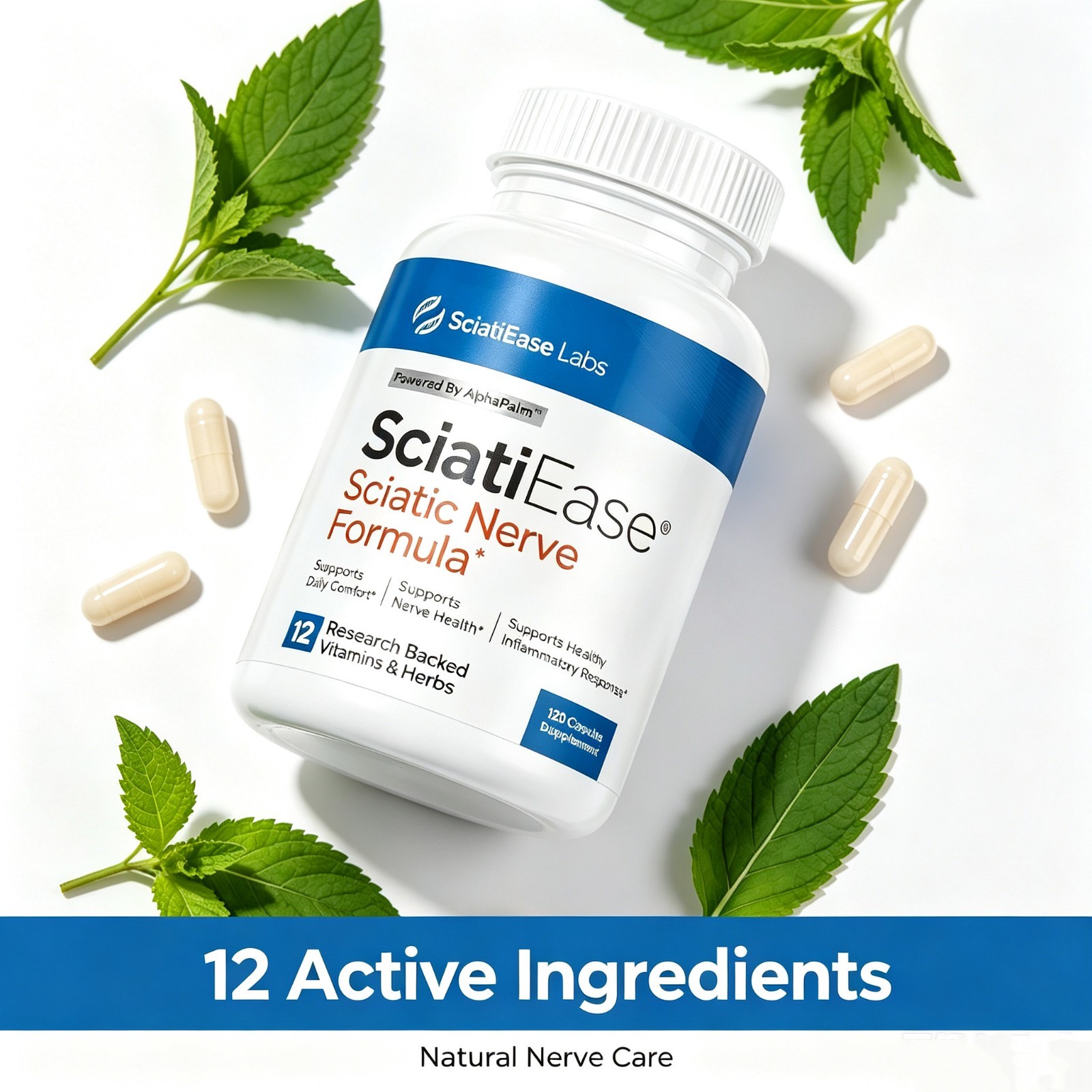 Advanced Nerve Care Formula 12 Herbs & Vitamins Healthy Response 120 Count