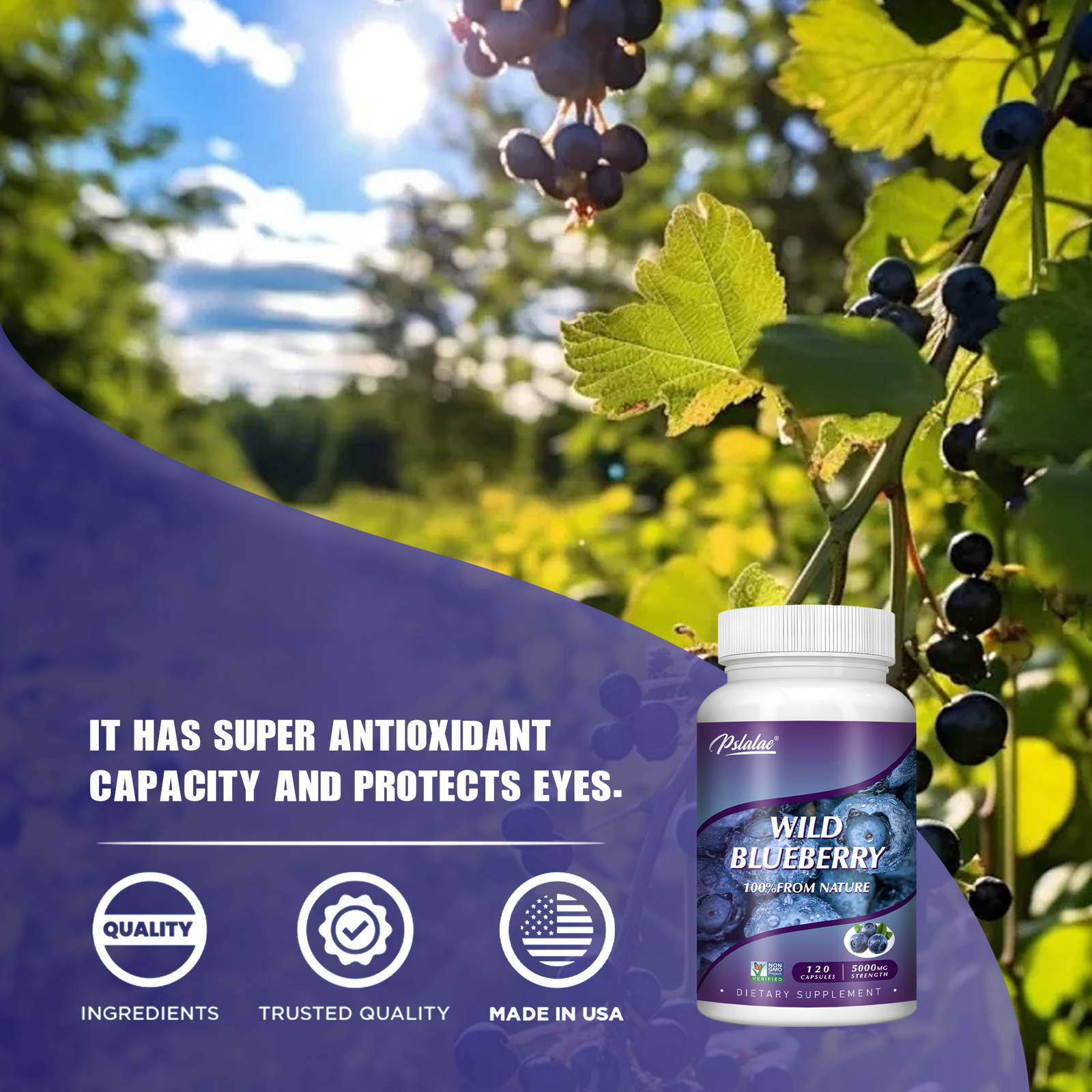 Wild Blueberry 5000mg – Strength 10:1 Extract Antioxidant, Boosts Brain Health