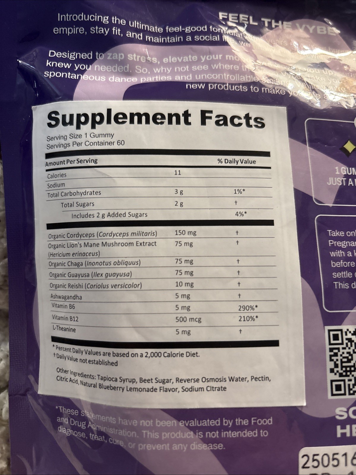 Vybe Mushroom Gummies for Focus, Mood, Calm & Energy 60 Count Blueberry 11/2026
