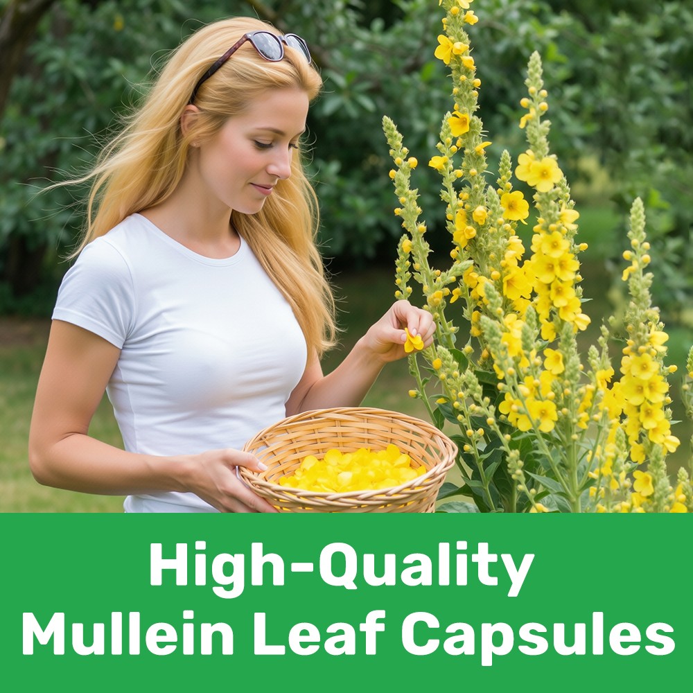 15In1 Mullein Leaf Capsules Extra Strength Support Respiratory Health Lung Detox