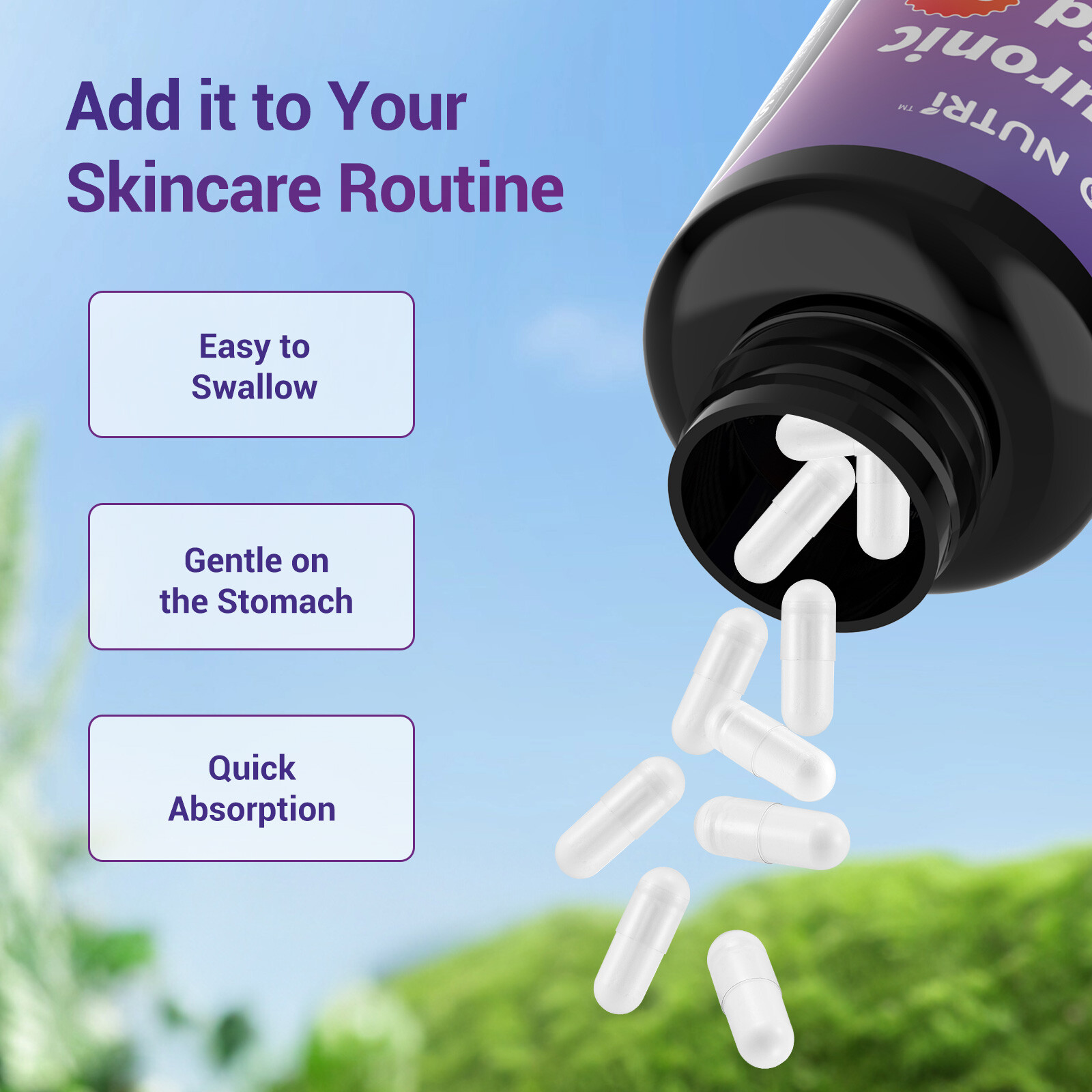 Hyaluronic Acid Capsules + Vitamin C Biotin 250mg 240 Capsules Skin Hydration