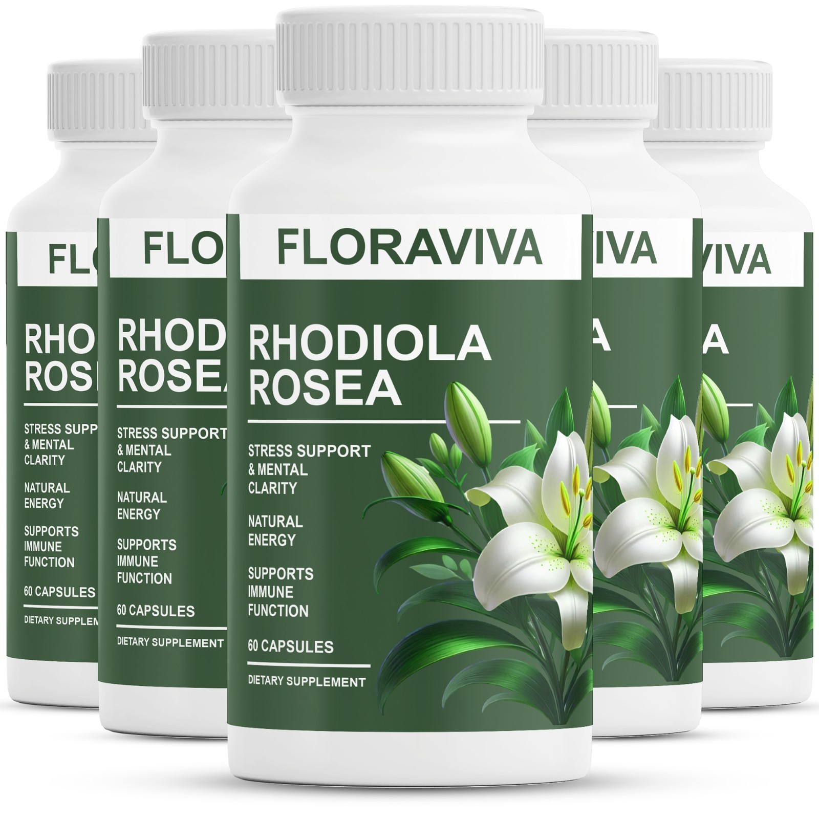 5-Pack Rhodiola Rosea Capsules – Floraviva for Energy, Focus, Mood