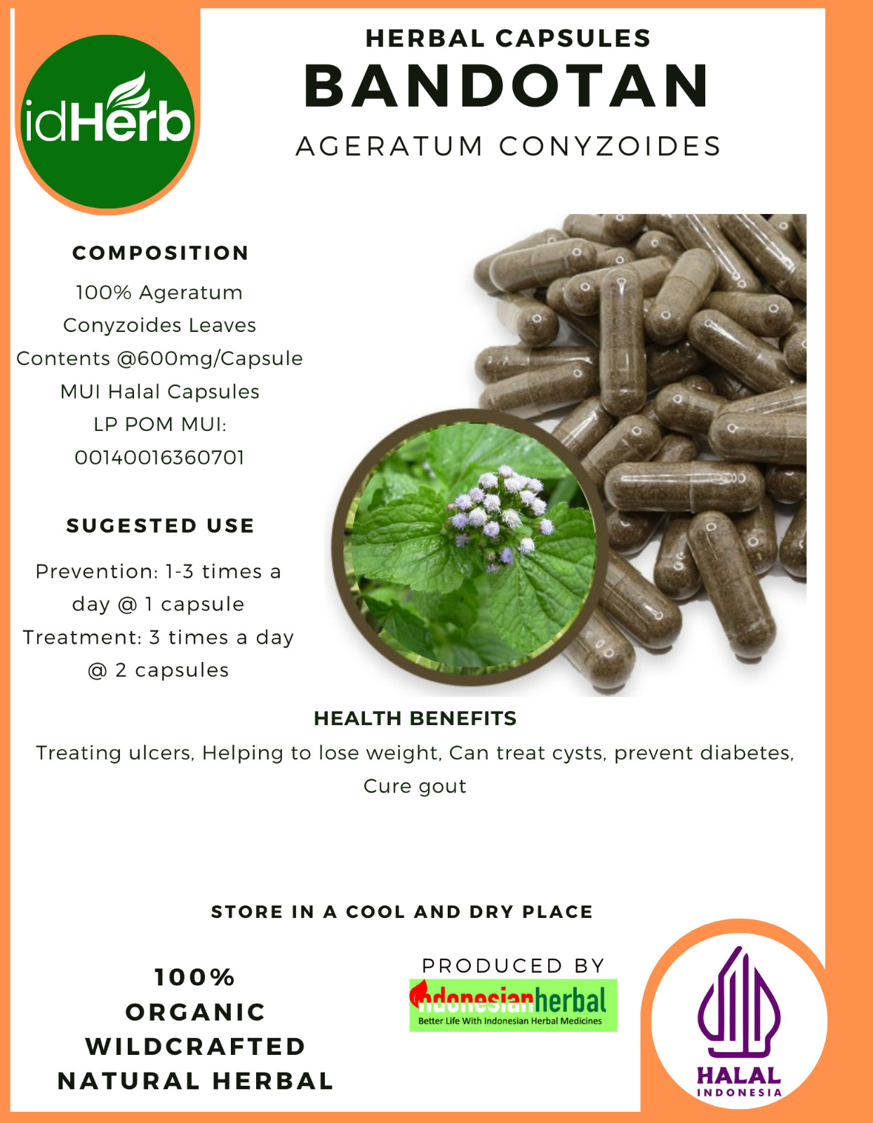 [idHerb] 100-800 Capsule Bandotan Billygoat weed Ageratum Conyzoides WildCrafted