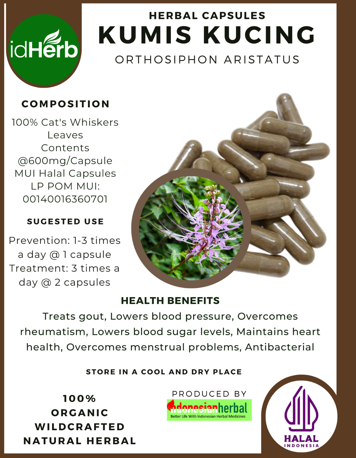 [idHerb] 100-800 Capsule Cat’s Whiskers Java Tea Orthosiphon Aristatus Organic
