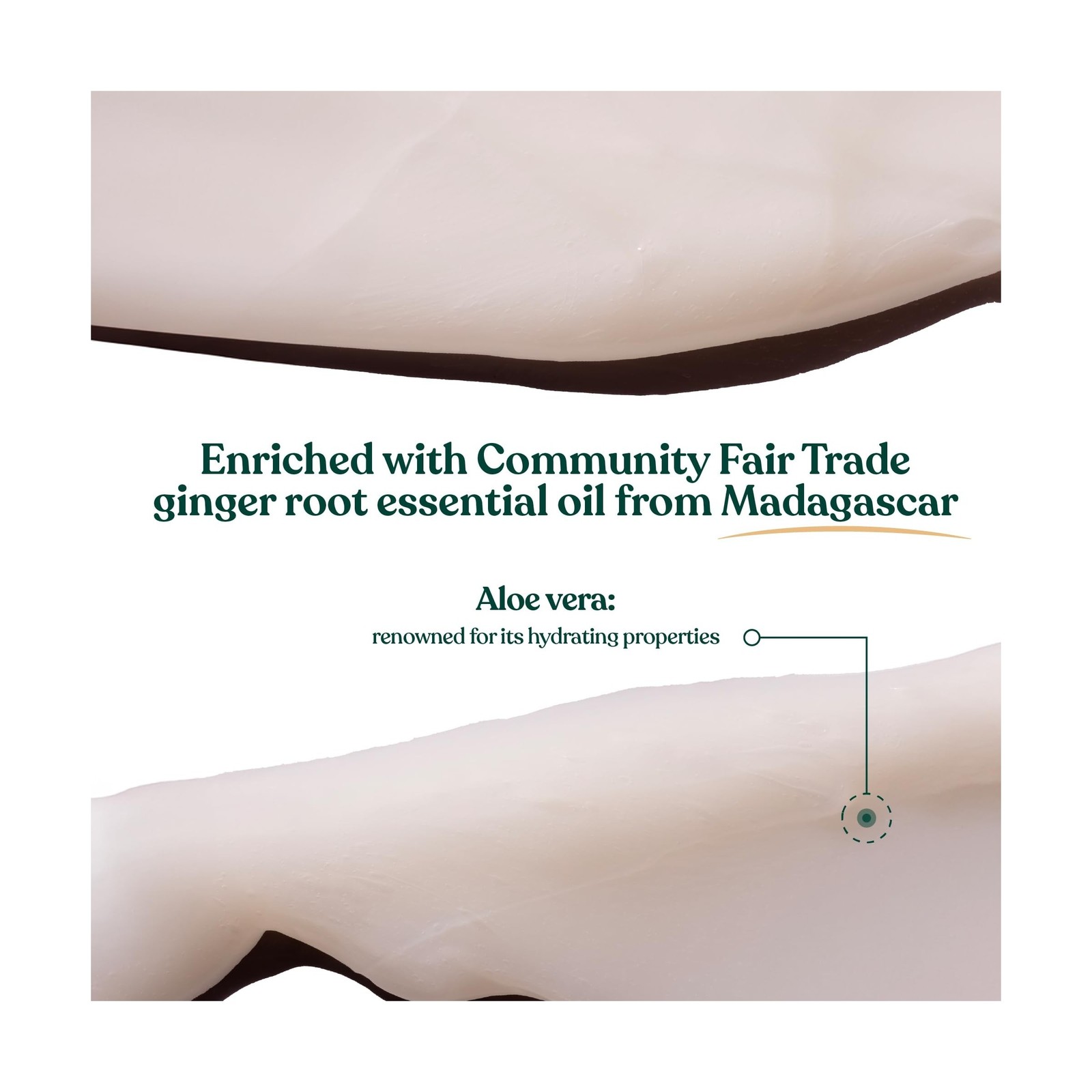 The Body Shop Ginger Scalp Care Conditioner | For Fine, Weak Hair USA Fast Ship