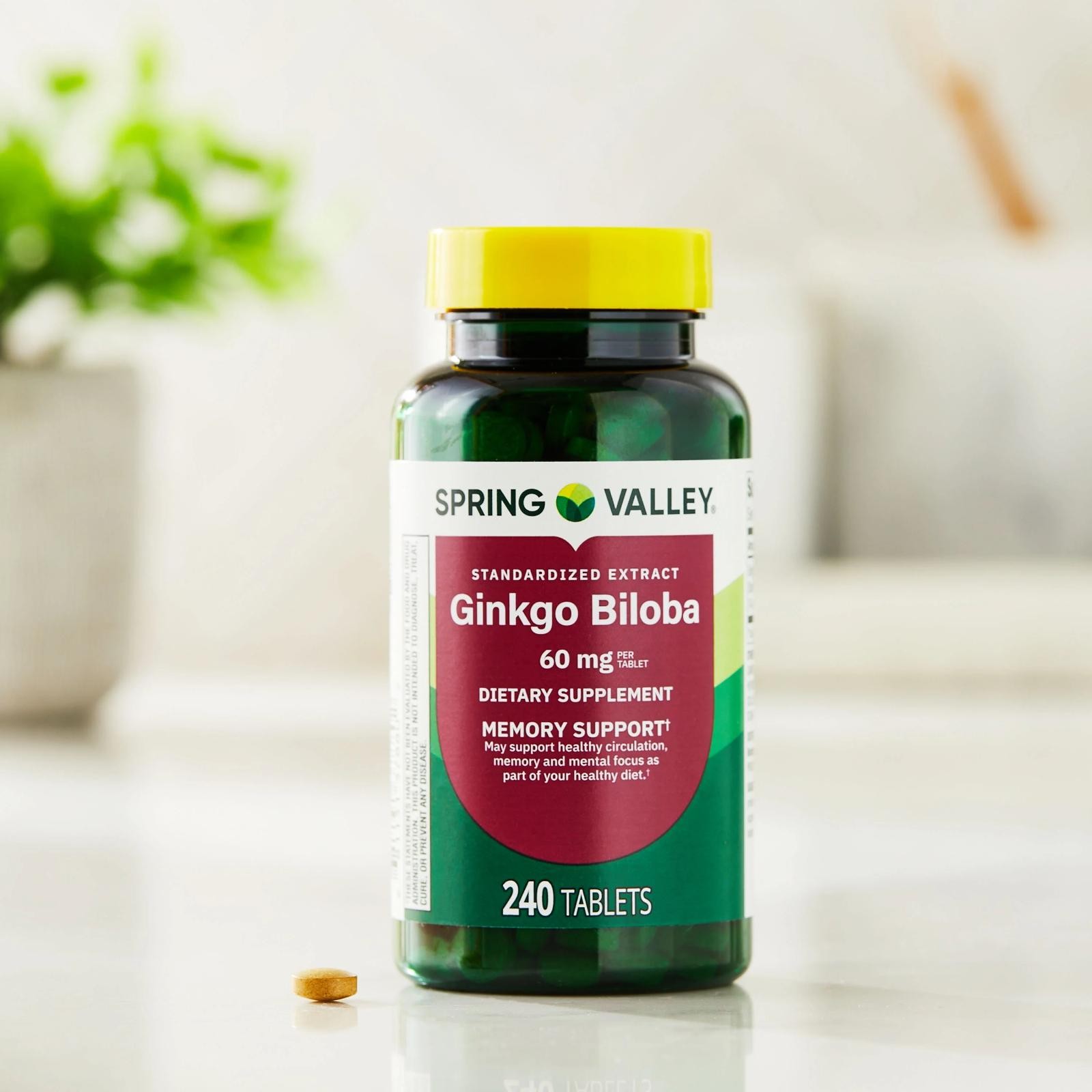 Spring Valley Ginkgo Biloba Extract 60 Mg Memory Support Non GMO, 240 Tabs