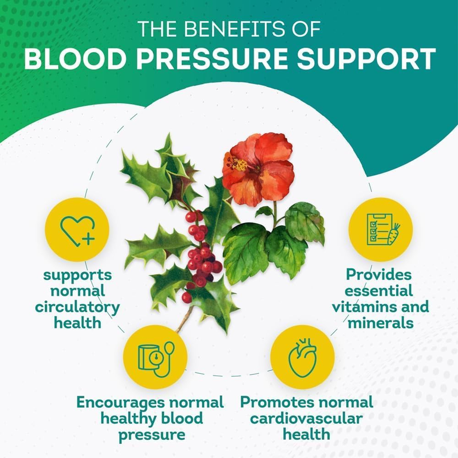 Blood Pressure Support – Hawthorn, Hibiscus – Heart and Blood Pressure Support
