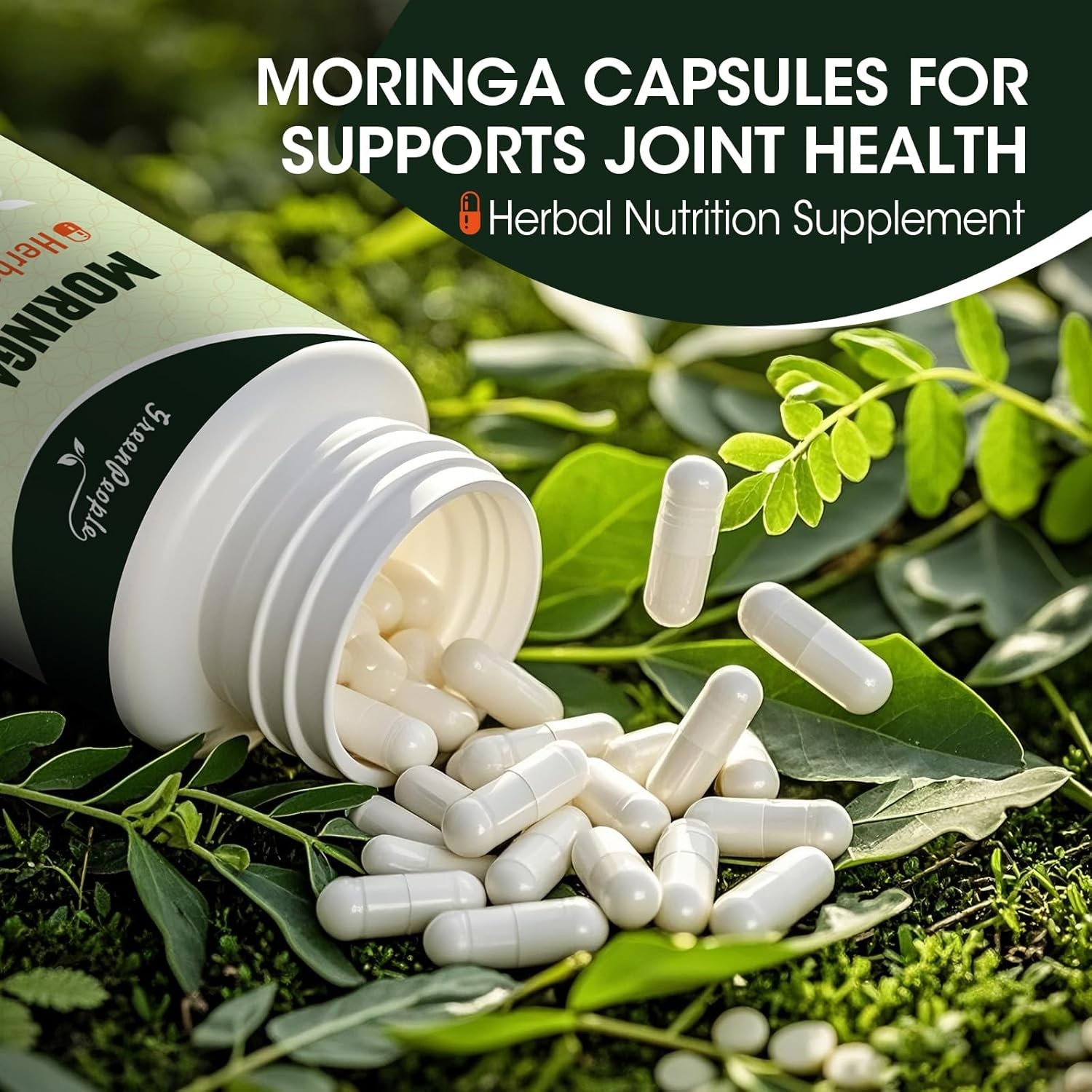 180 Capsules Moringa Oleifera Leaf Powder 1500mg – Organic Herbal Extract