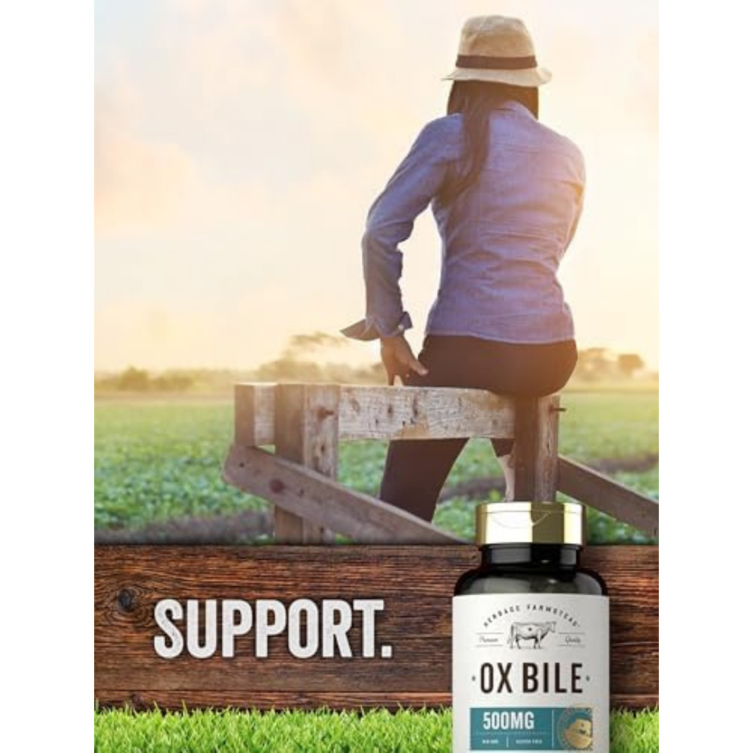 Ox Bile Supplement 500Mg 60 Capsules Digestive Enzyme Non-Gmo & Gluten Free by H