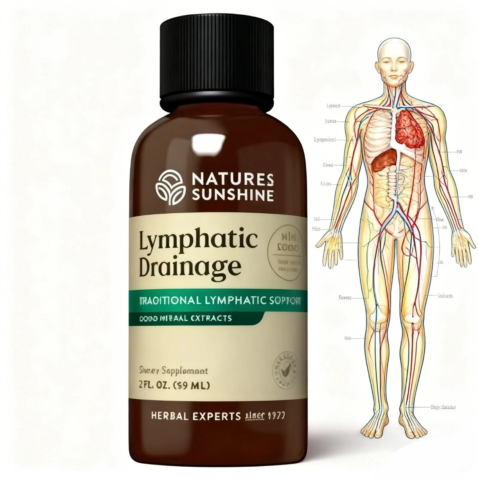 2 bottles.Nature’s Sunshine- Lymphatic Drainage ,Detox, Cleanse & Detox,immunity