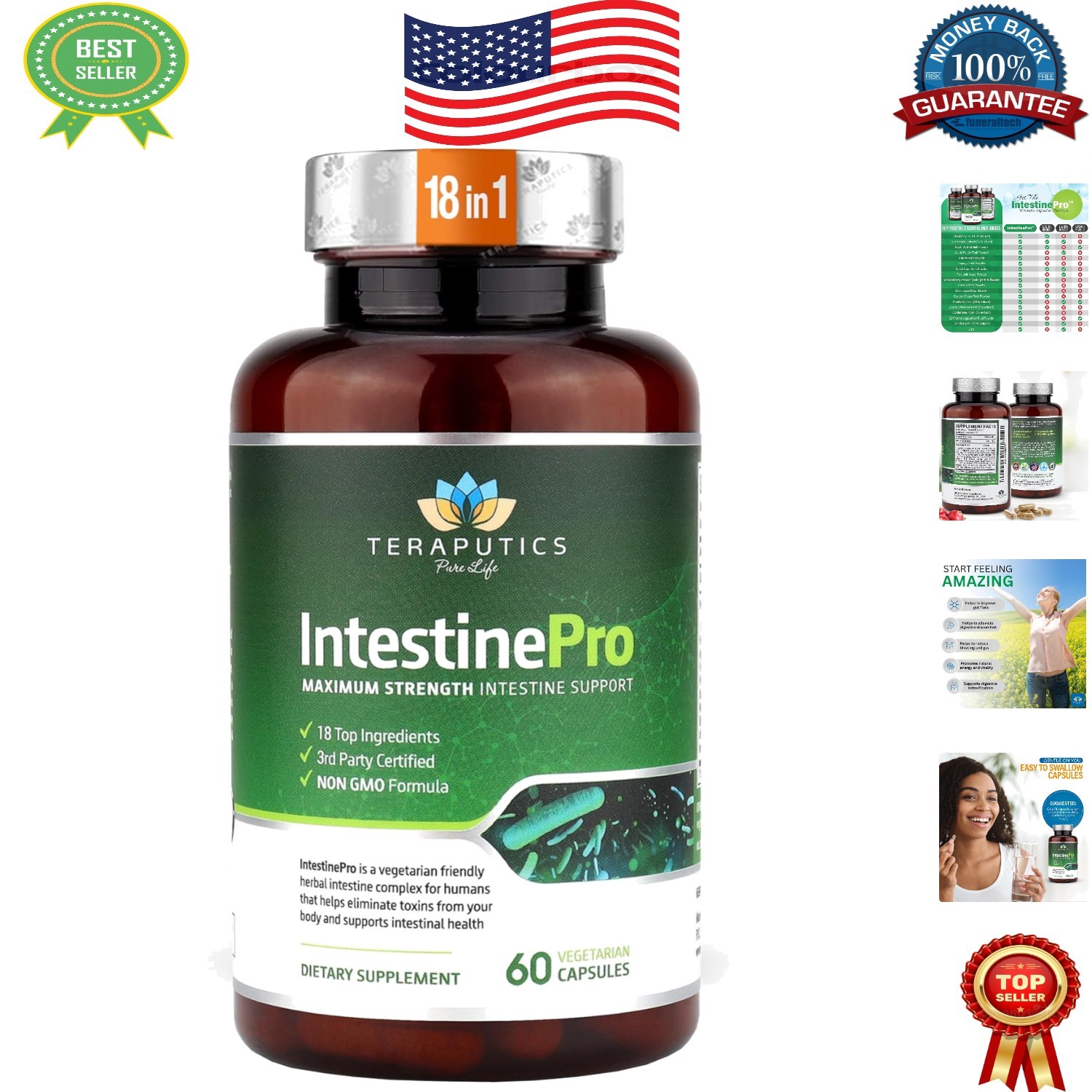 Natural Gut Support with IntestinePro – 18 Ingredients in 60 Capsules