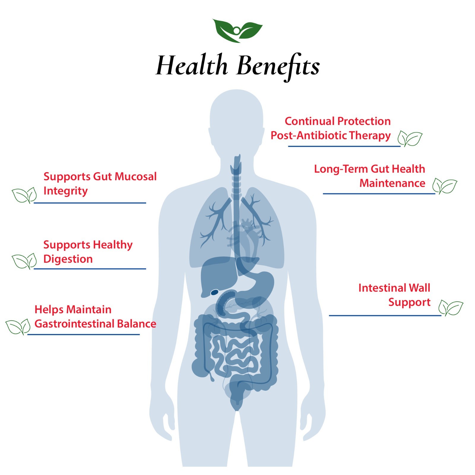 Saccharomyces Boulardii Probiotic Powder 20B CFU | Bottled in USA|No Additives