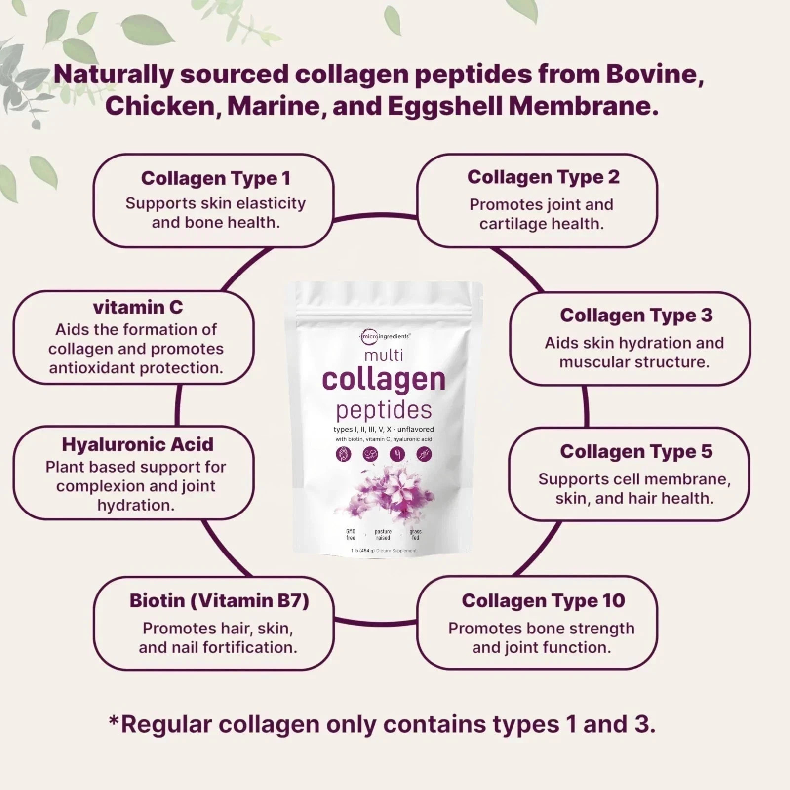 Micro Ingredients Multi Collagen Peptides – Types I,II,III,V,X , Unflavored
