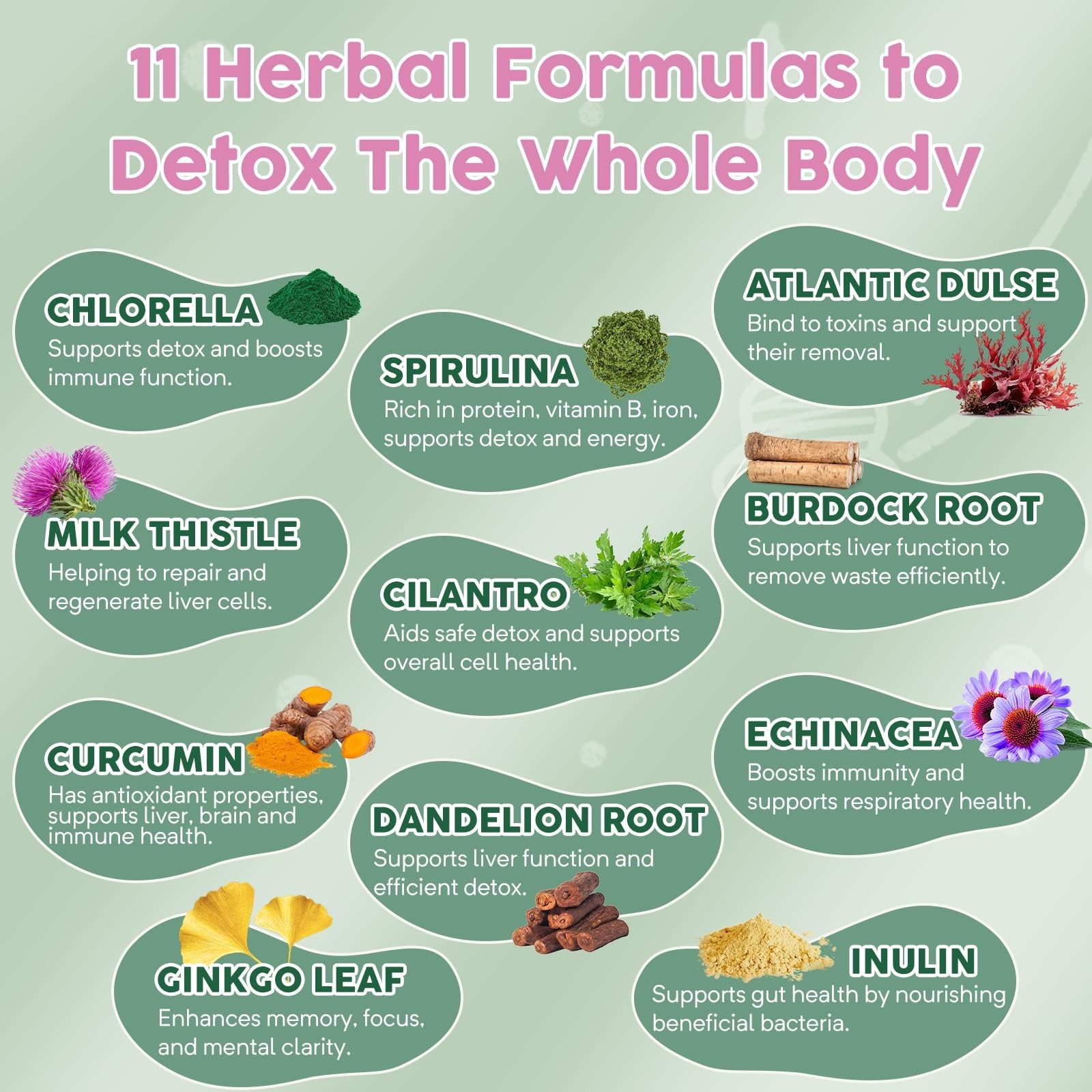 Zeolite Detox for Kids and Adults, Herbal Detox with 800mg DHA, 500mg Inulin,…