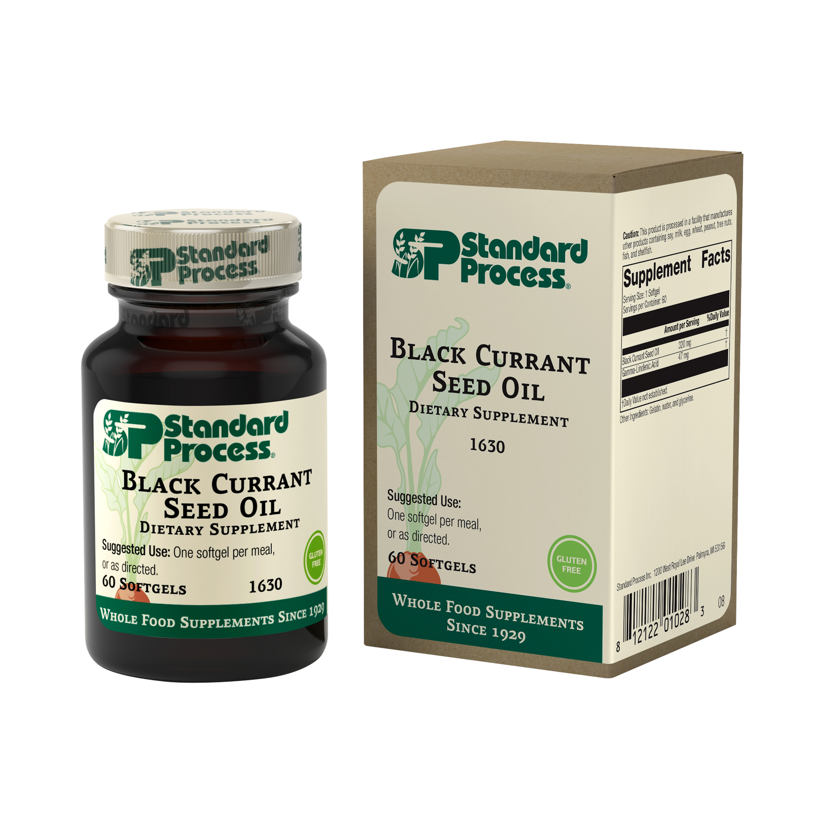 Standard Process – Black Currant Seed Oil – 60 Softgels