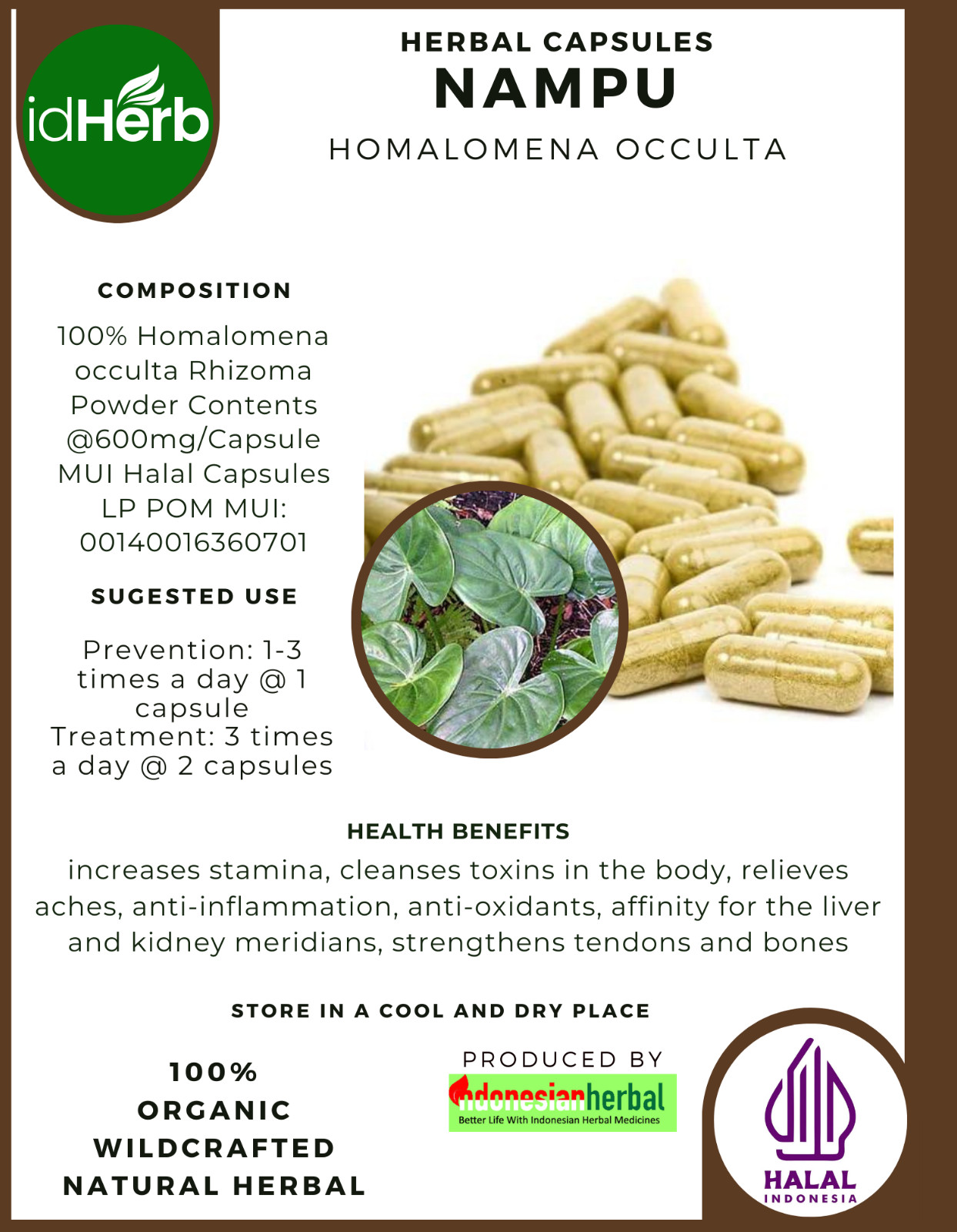[idHerb] 100-800 Capsules Flat Moon Plant Homalomena Occulta Organic WildCrafted