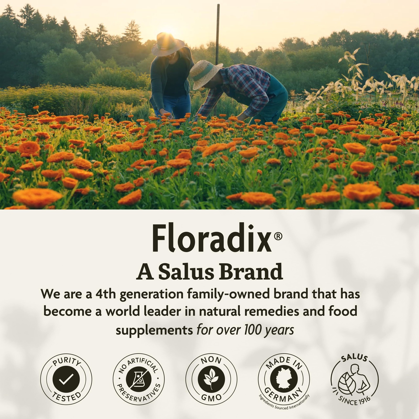 6/2027 Floradix Iron + Herbs – Iron Supplement for Healthy Energy Support* – Veg