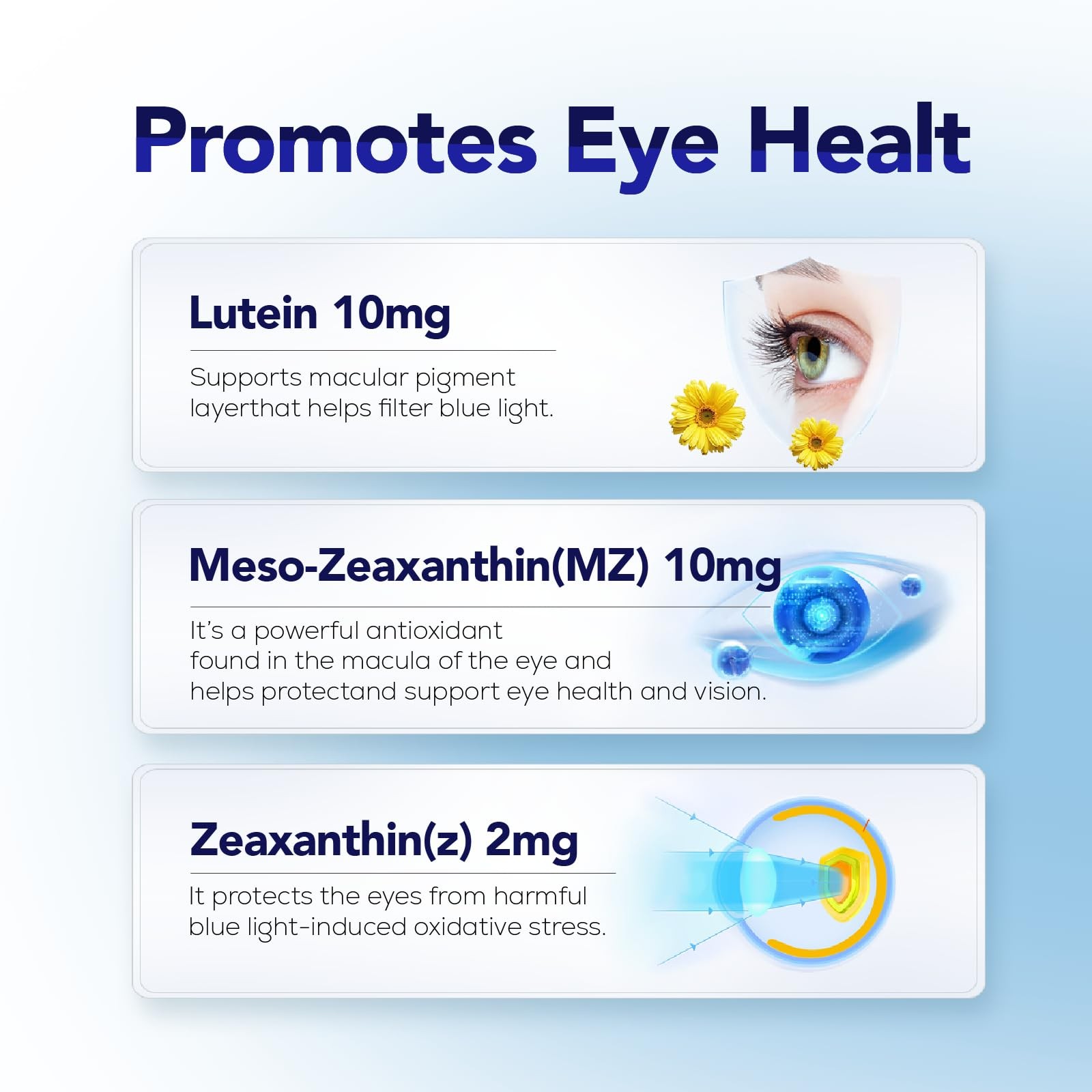 Herbal Bee Eye Supplement – Lutein 10mg, Meso-Zeaxanthin 10mg, Zeaxanthin 2mg…