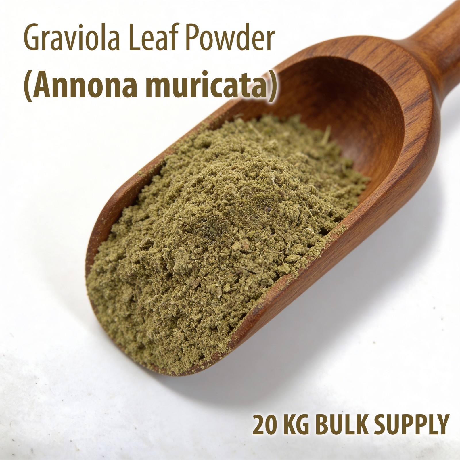 Graviola Leaf Powder 20KG Bulk Annona Muricata | Soursop Wholesale Supply