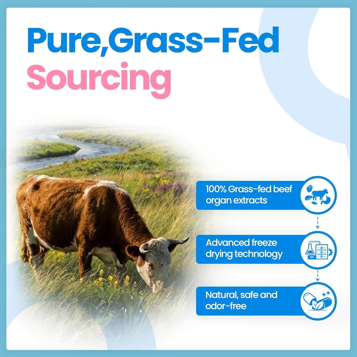 Grass Fed Beef Organ Supplements for Women Liver Kidney Uterus Hormone 120 caps