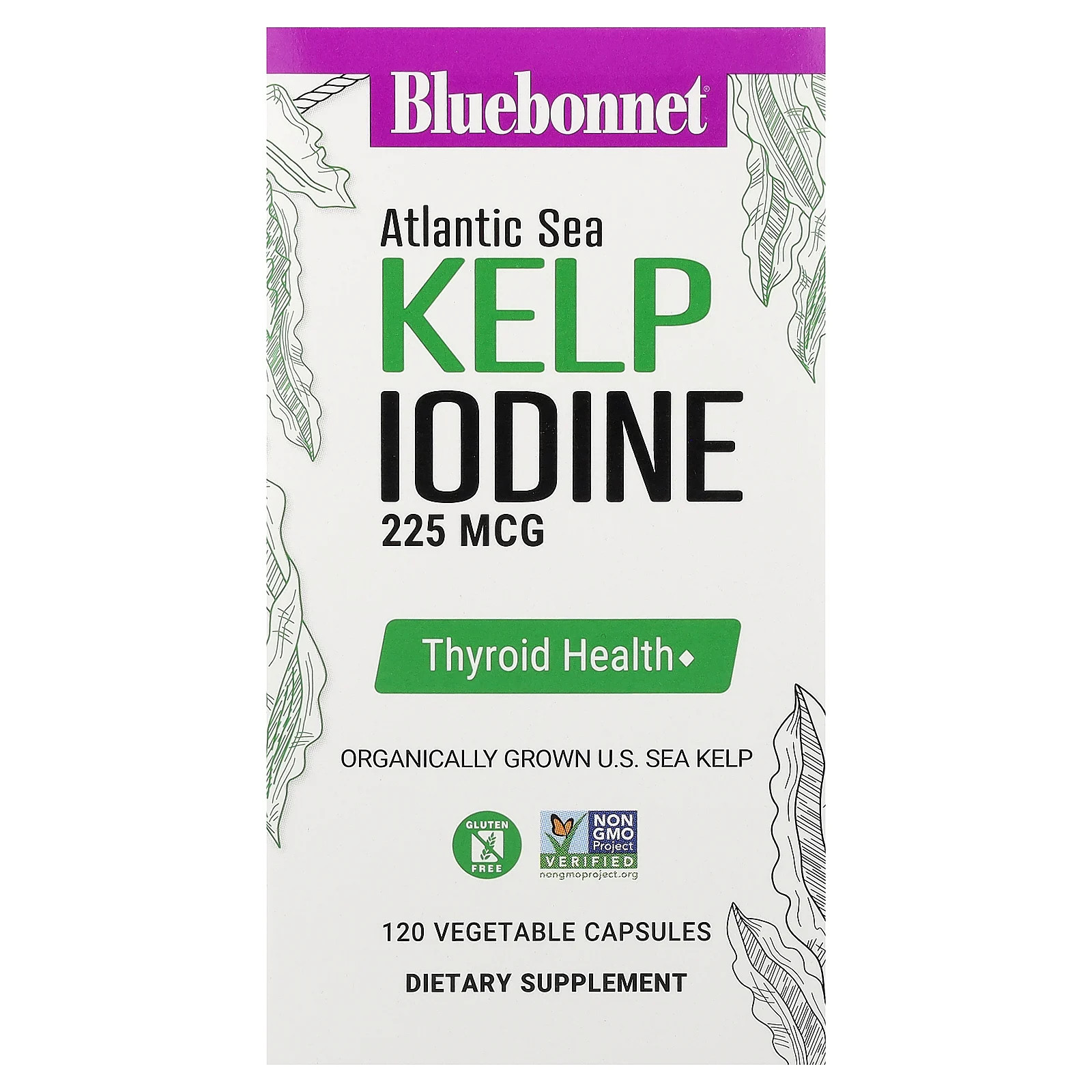 Atlantic Sea Kelp Iodine, 225 mcg, 120 Vegetable Capsules