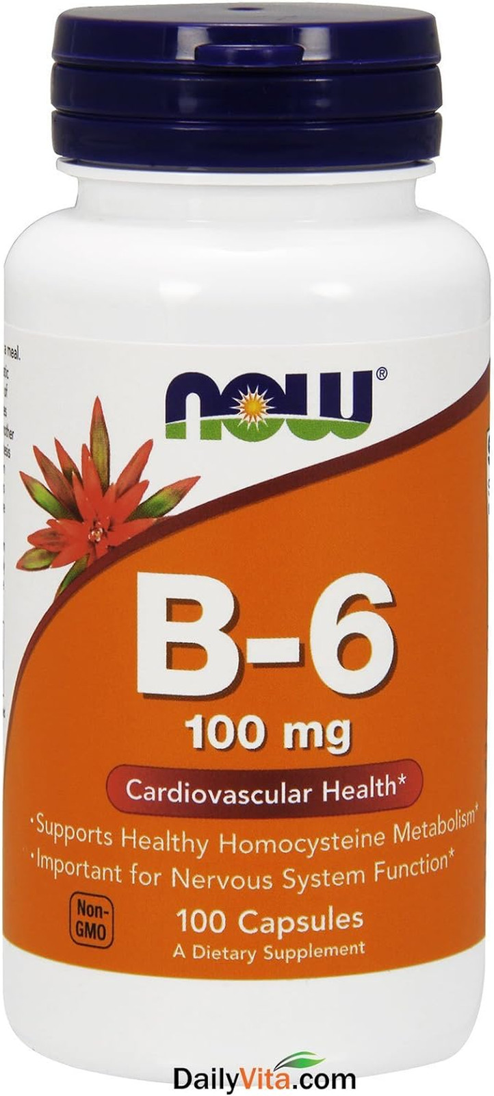 NOW Foods Vitamin B-6 (Pyridoxine Hcl) 100 Mg, Cardiovascular Health, Capsules