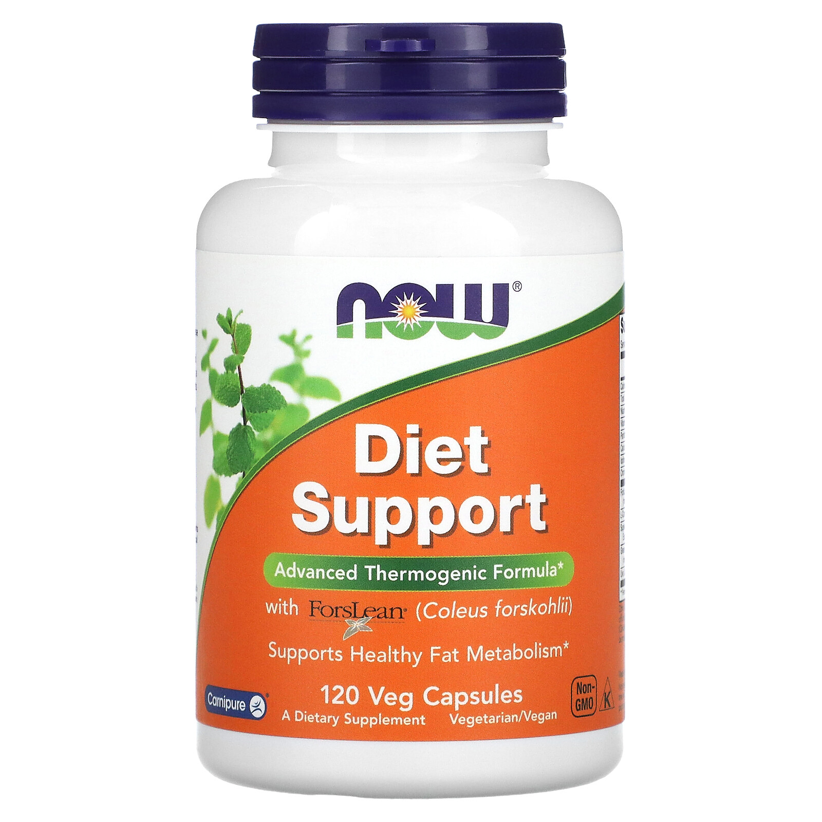 Now Foods Diet Support 120 Veg Capsules GMP Quality Assured, Vegan, Vegetarian