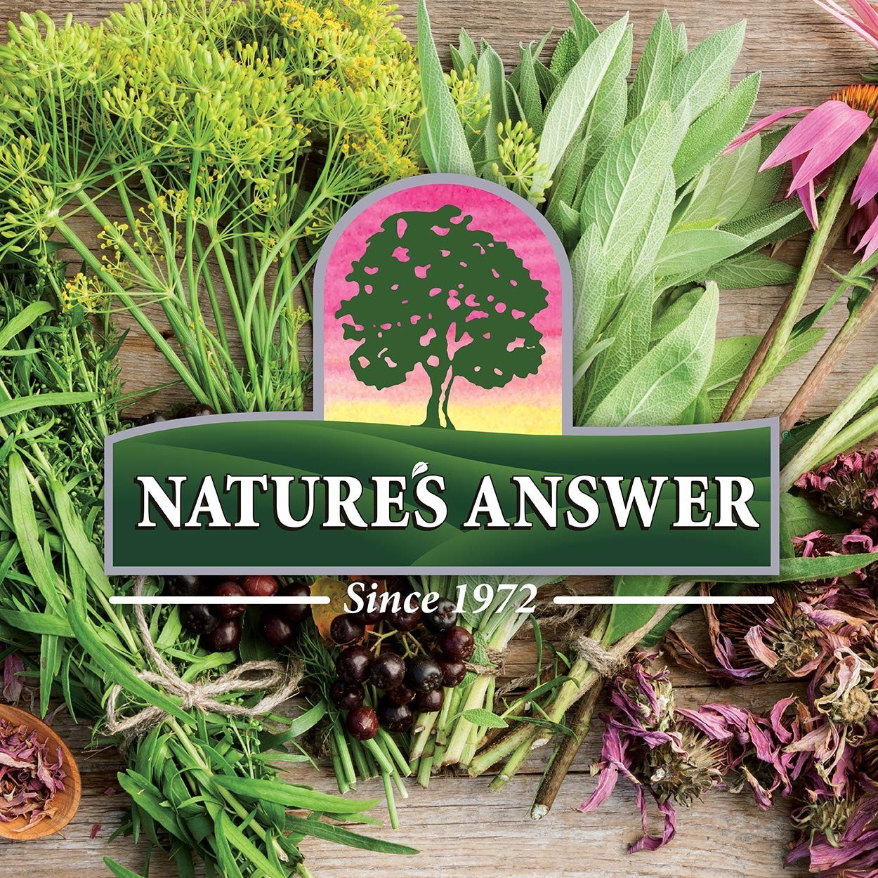 Nature’s Answer Black Walnut & Wormwood Complex – 2000mg Digestive Support