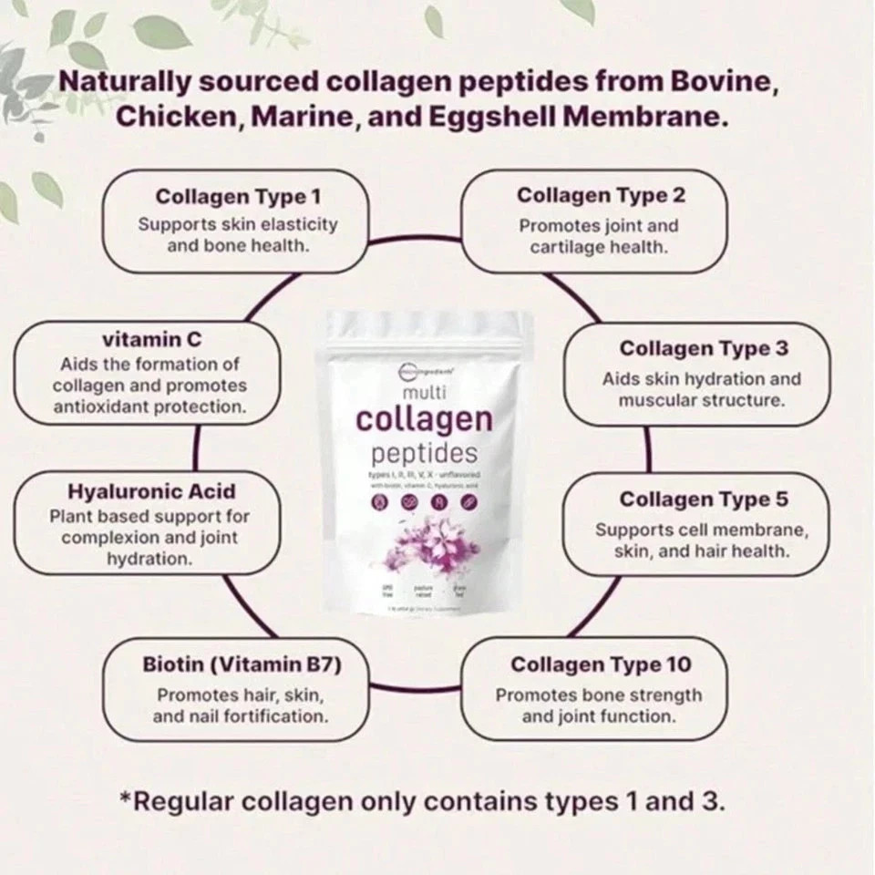 Micro Ingredients Multi Collagen Peptides Powder 16oz – Type I II III V X Unflav