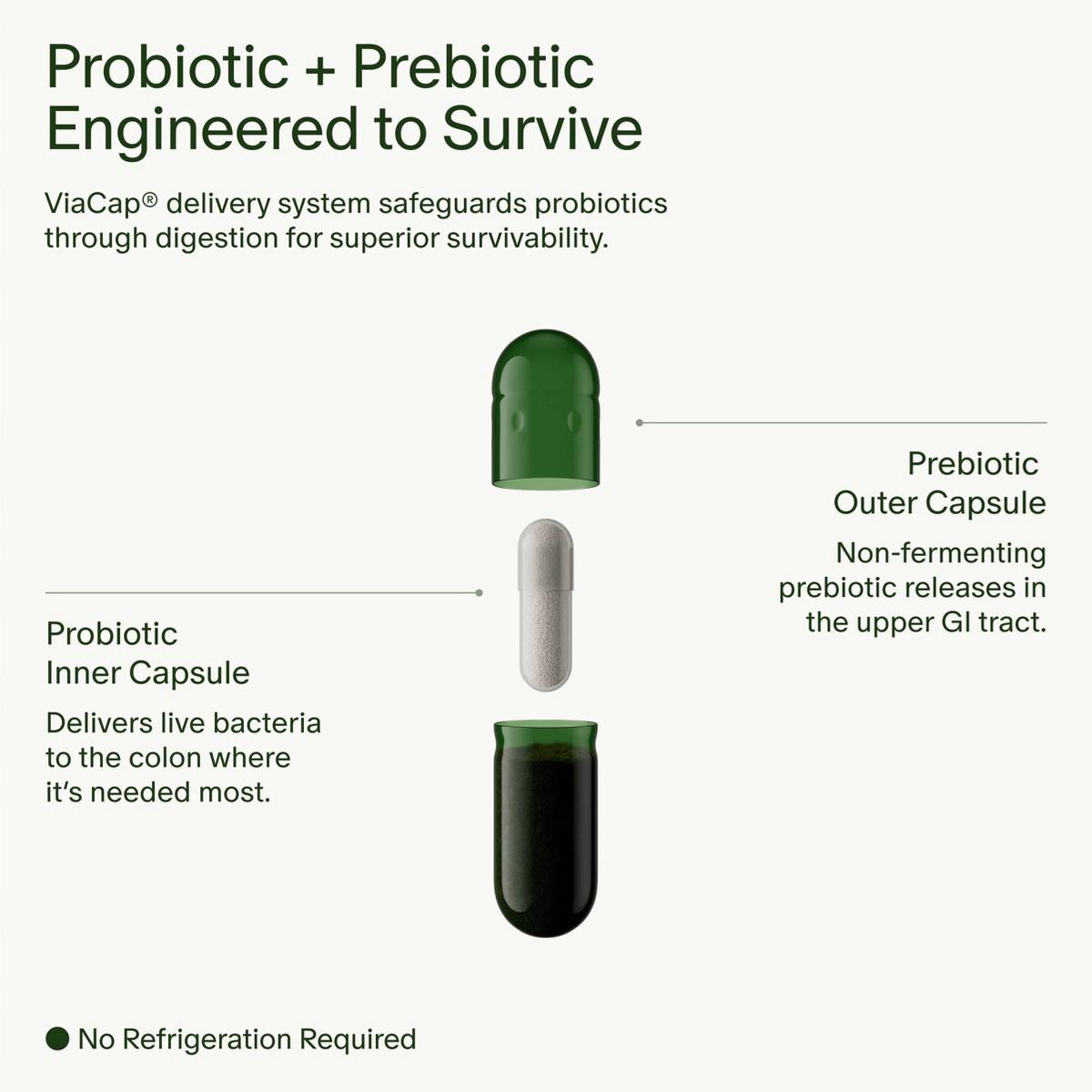 Seed 14-Day Gut Reset Probiotic Capsules – 28ct: Probiotic and Prebiotic Blends