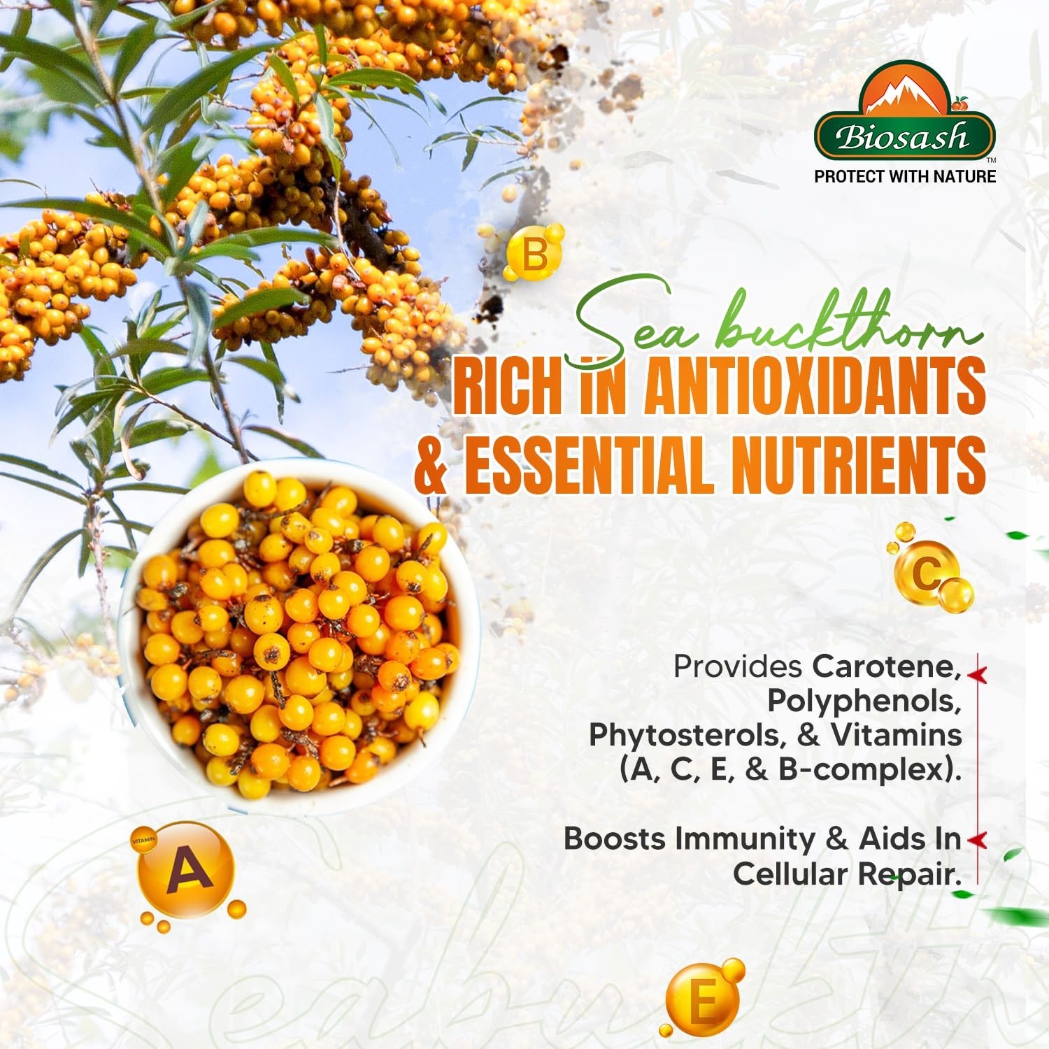Biosash Sea Buckthorn TRIMFIT Juice 750ml Sea Buckthorn Herbal Wellness Drink