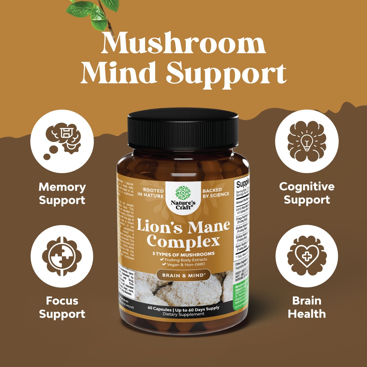 Advanced Lion’s Mane Mushroom Supplement – 5X Fruiting Body Mushroom Complex