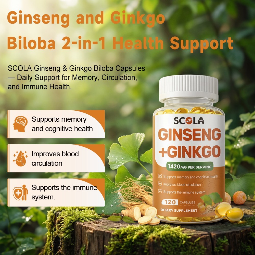 Ginkgo Biloba + Ginseng Extract Red Panax Focus Brain Memory Metabolism Booster