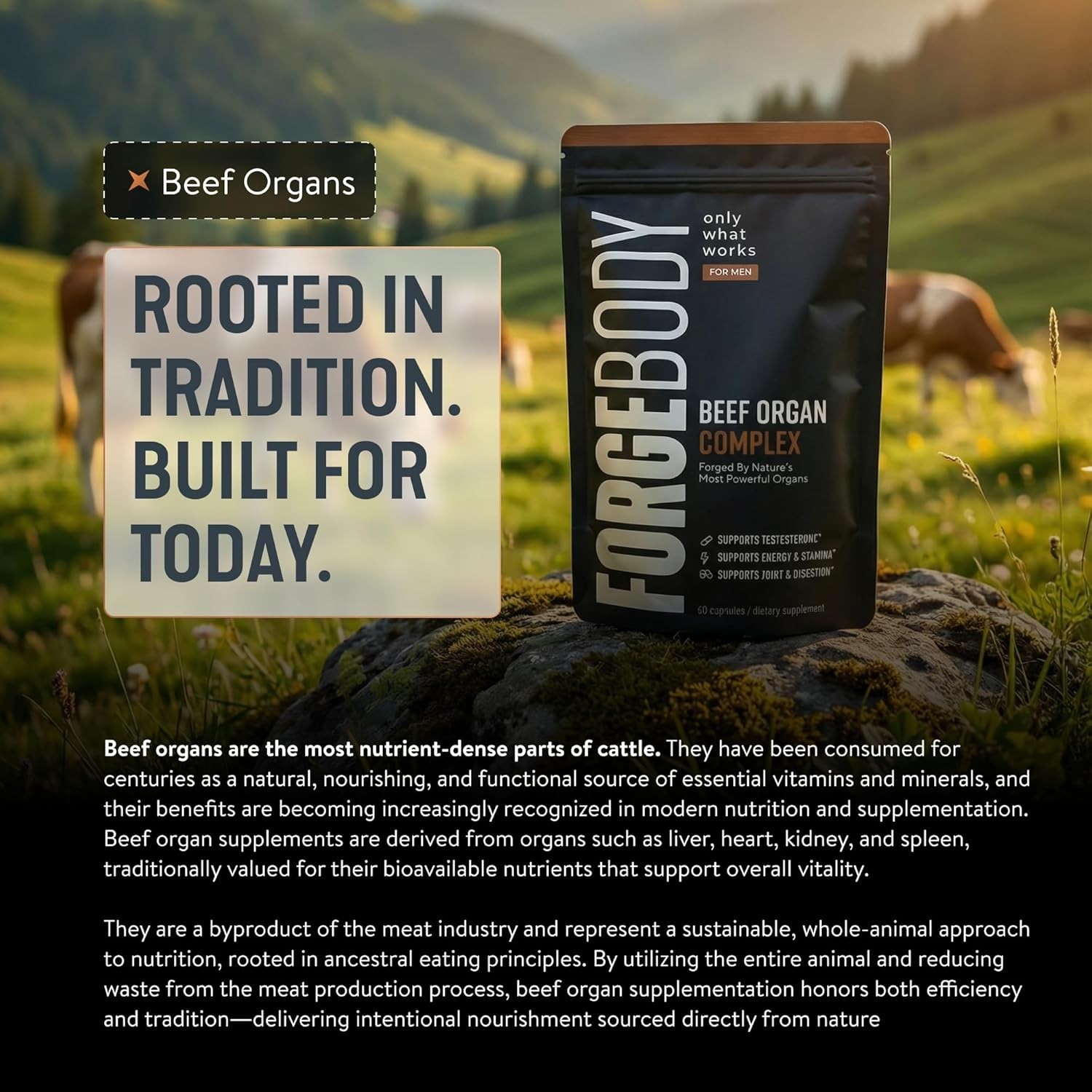 FORGEBODY® Beef Organ Complex Capsules [1 Month] – 100% Grass Fed Beef Organ Sup