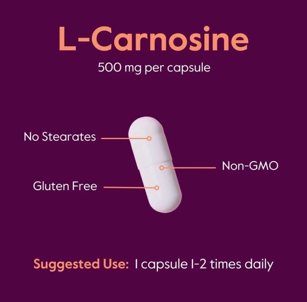 BESTVITE L-Carnosine 500mg (120 Capsules) -No Stearates-Gluten Free- NON-GMO