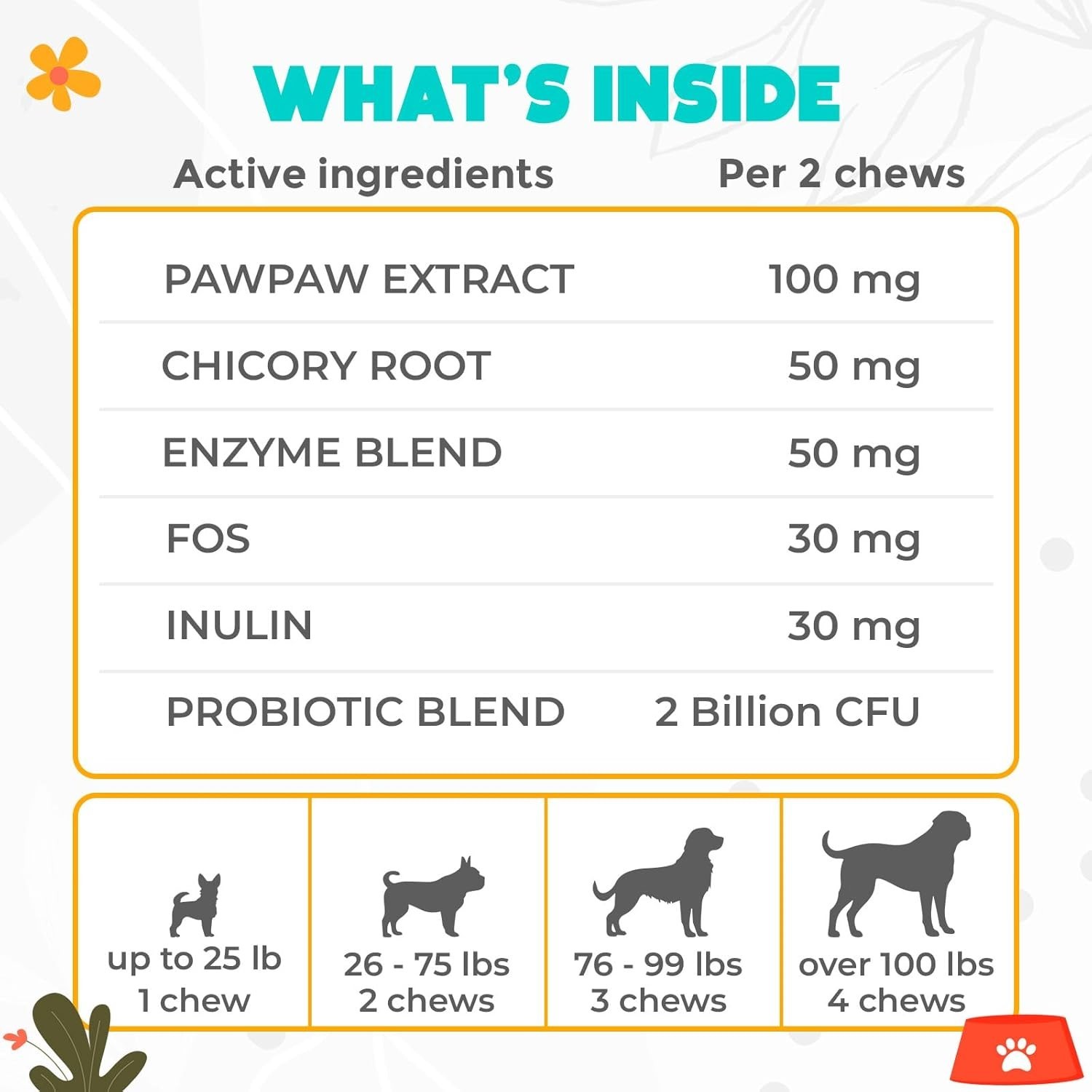 Probiotics for Dogs Chews 60 Pcs – Digestive, Gut Health & Diarrhea Support – Ch